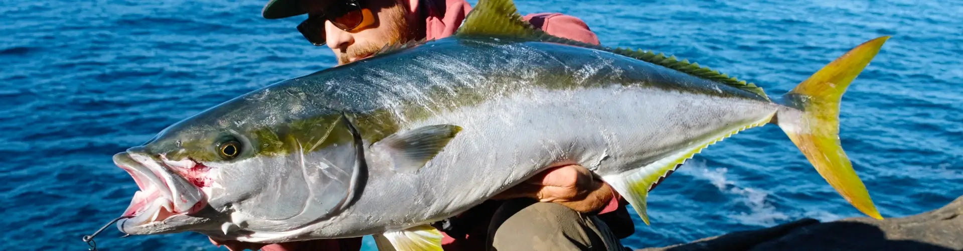 Angler on a boat holding a yellowtail kingfish over blue open water