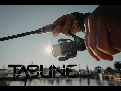 Tasline X4 Solid Elite Braid