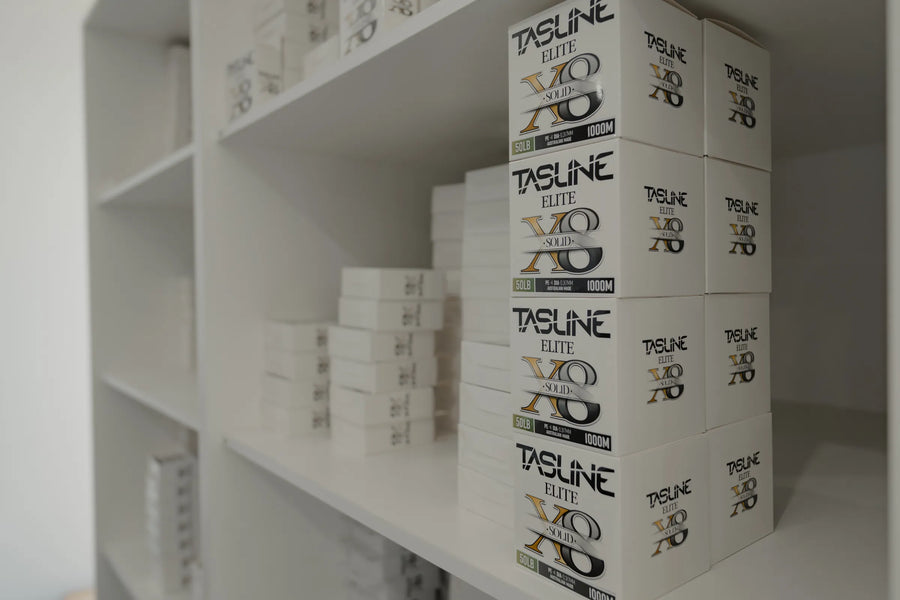Factory shelving stacked with Tasline X8 Elite retail boxes ready for despatch